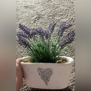 Fake lavender plant!